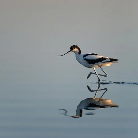 Apartman Cosher - Gardenia Palace 9 Free Parking Pomorie