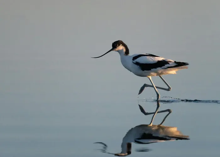 Appartamento Cosher - Gardenia Palace 9 Free Parking Pomorie